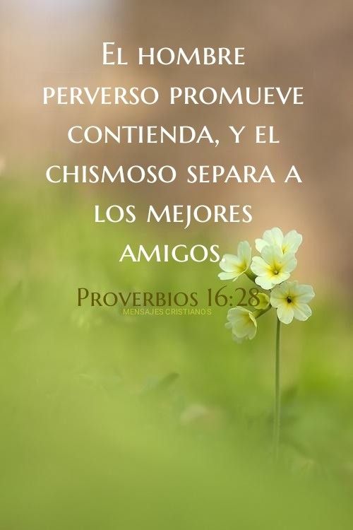 Los Mejores Versículos De La Biblia